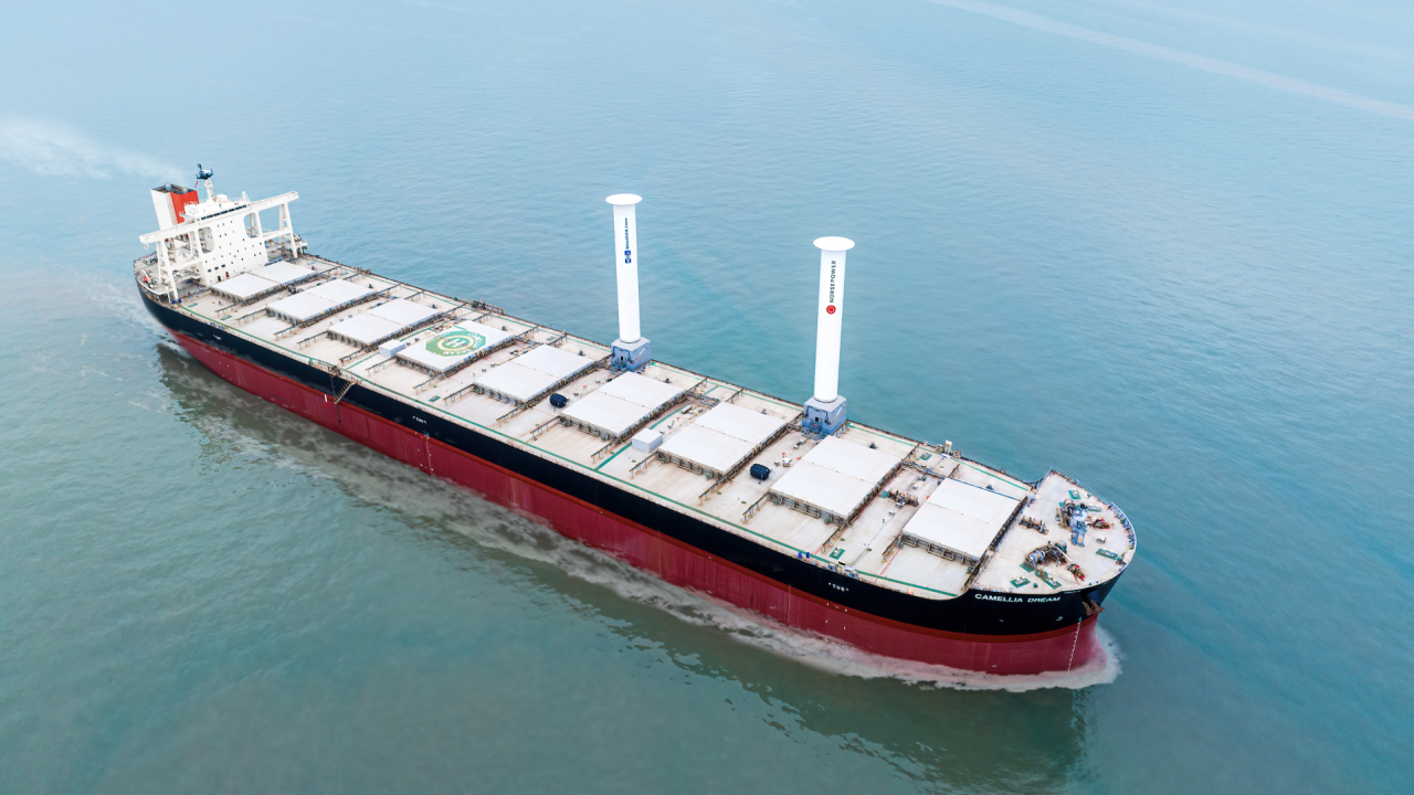 Dry Bulk Vetting