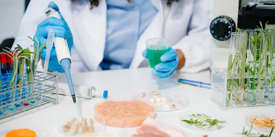 Food Biotechnology